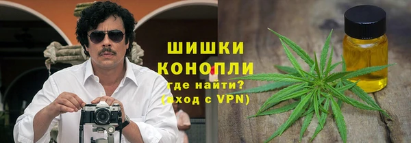 сатива Мегион
