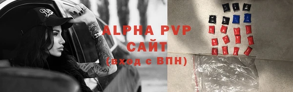 сатива Мегион
