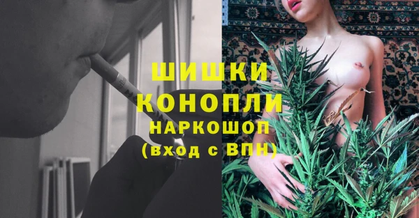 сатива Мегион