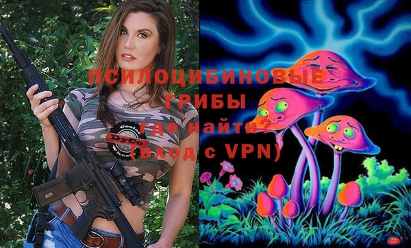 сатива Мегион