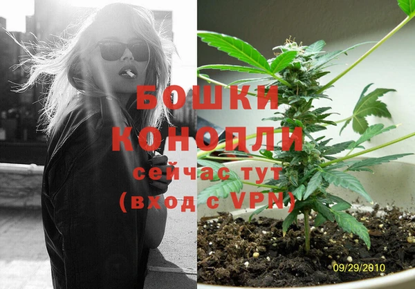 гидра Медвежьегорск