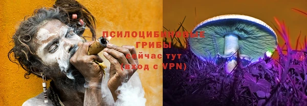 гидра Медвежьегорск