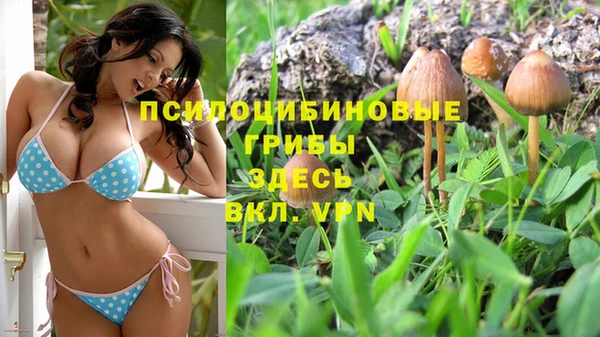гидра Медвежьегорск