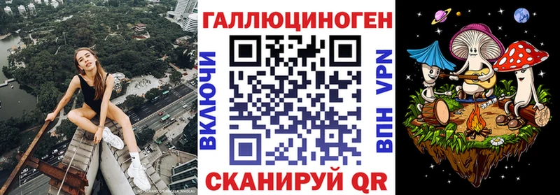 Псилоцибиновые грибы Psilocybine cubensis Нефтекумск