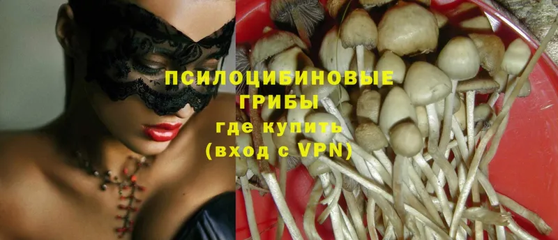 Псилоцибиновые грибы Magic Shrooms  ссылка на мегу зеркало  Нефтекумск 