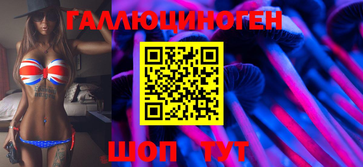 Псилоцибиновые грибы мицелий  Вход с VPN  Нефтекумск 