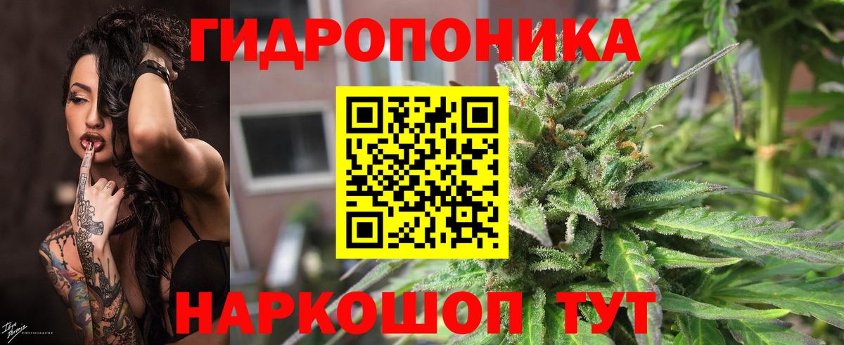 Бошки Шишки LSD WEED  Вход с VPN  Нефтекумск  Шишки марихуана OG Kush 