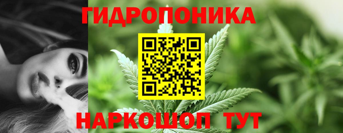 Бошки марихуана SATIVA & INDICA Нефтекумск